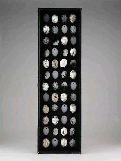 藏品:無題的(1)張圖片