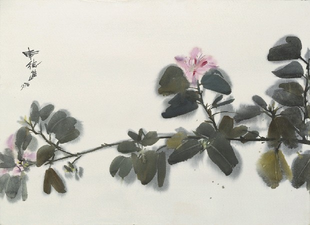 藏品:粉色花的(1)張圖片