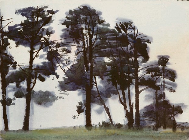 藏品:風景的(1)張圖片