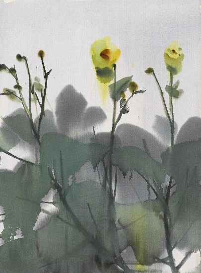 藏品:花的(1)張圖片