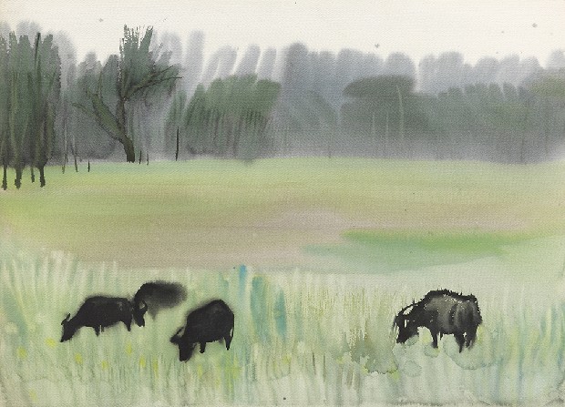 藏品:風景的(1)張圖片