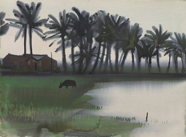 藏品:風景的(1)張圖片