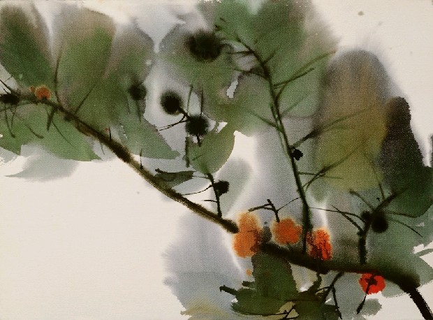 藏品:花的(1)張圖片