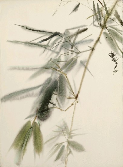 藏品:竹的(1)張圖片