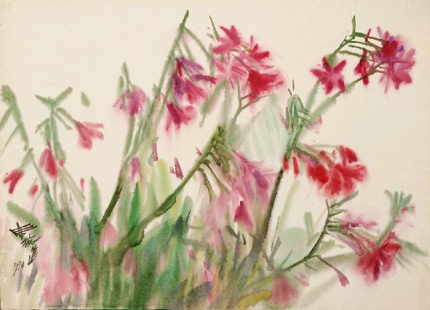 藏品:花的(1)張圖片