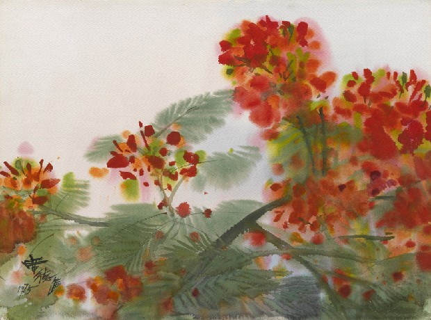 藏品:花(鳳凰木)的(1)張圖片