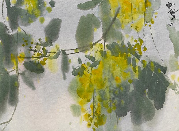藏品:黃花的(1)張圖片
