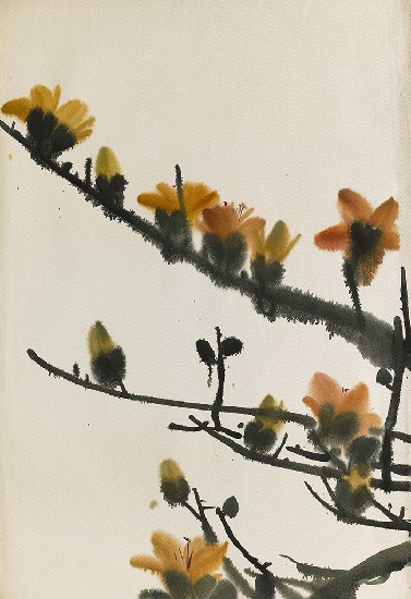 藏品:木棉花的(1)張圖片