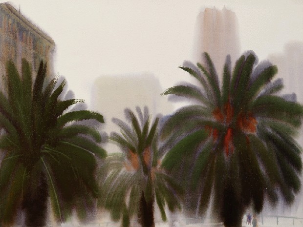 藏品:樹的(1)張圖片