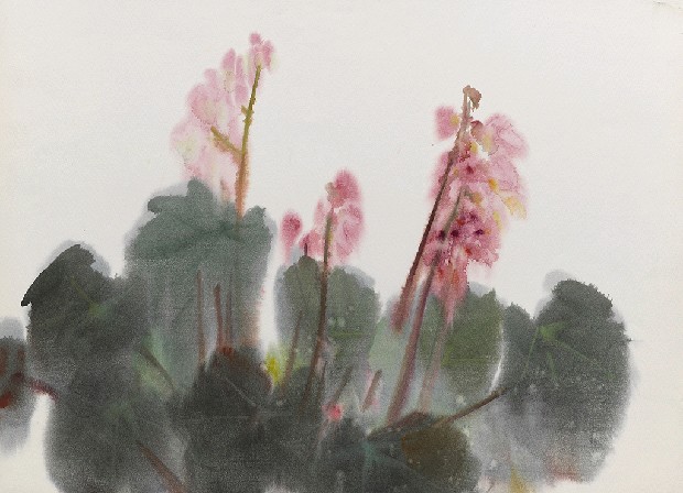 藏品:海棠花的(1)張圖片