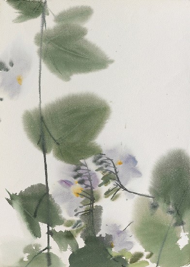 藏品:紫色花的(1)張圖片