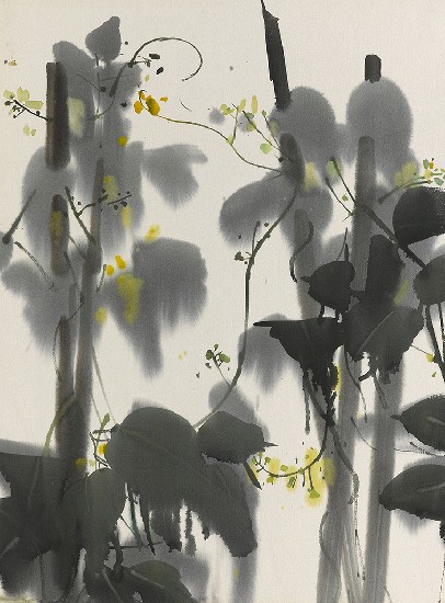 藏品:黃花的(1)張圖片