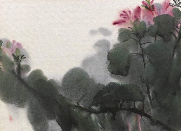 藏品:羊蹄甲花的(1)張圖片