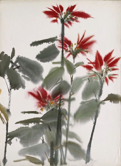 藏品:聖誕紅的(1)張圖片