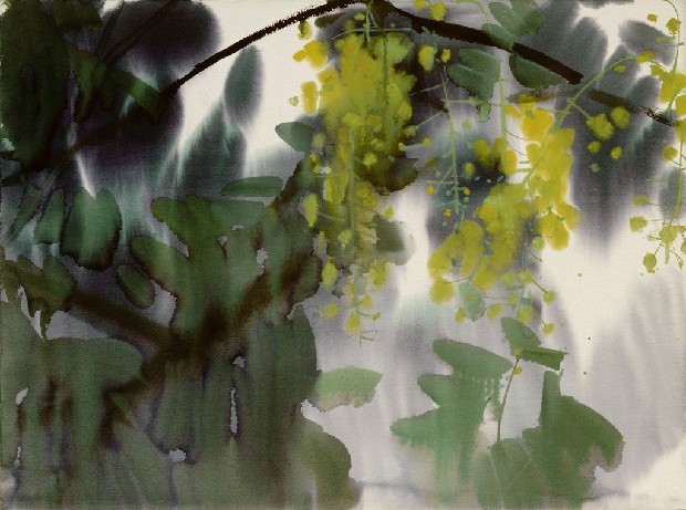藏品:黃花的(1)張圖片