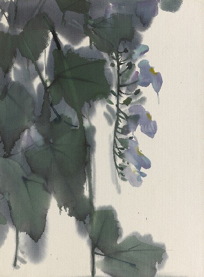 藏品:紫花的(1)張圖片