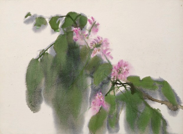藏品:紫花的(1)張圖片