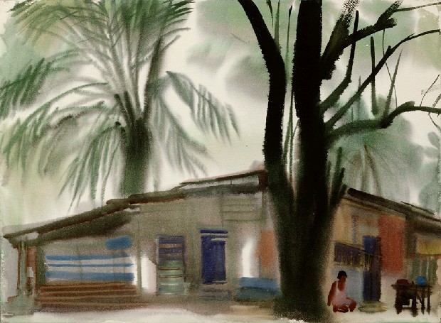 藏品:樹的(1)張圖片