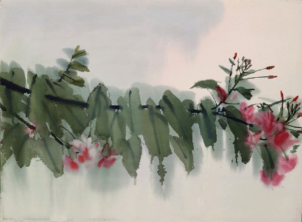 藏品:粉紅花的(1)張圖片