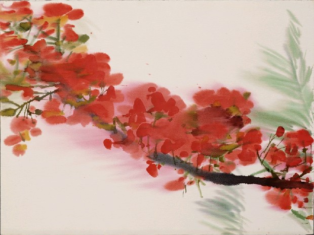 藏品:鳳凰木的(1)張圖片