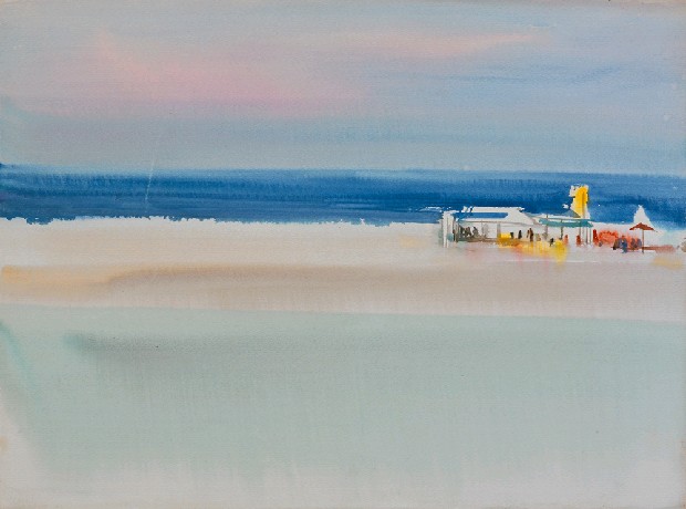 藏品:海灘的(1)張圖片