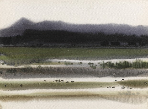 藏品:景的(1)張圖片