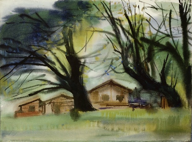 藏品:風景的(1)張圖片