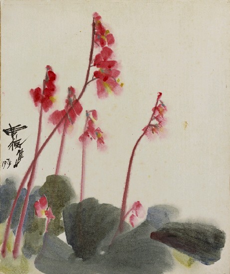 藏品:海棠花的(1)張圖片