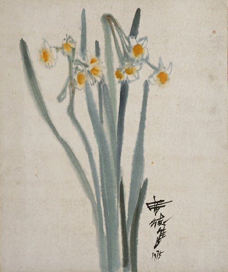 藏品:水仙的(1)張圖片