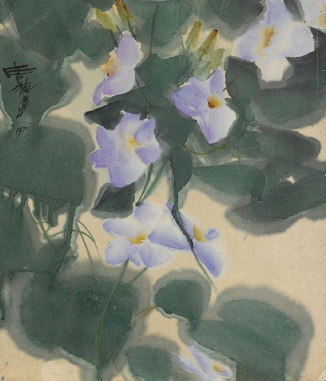 藏品:花的(1)張圖片