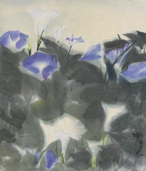 藏品:牽牛花的(1)張圖片