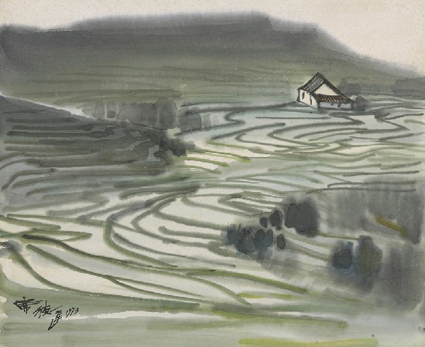 藏品:梯田的(1)張圖片