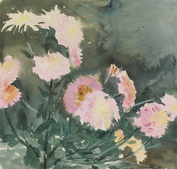 藏品:花(康乃馨)的(1)張圖片