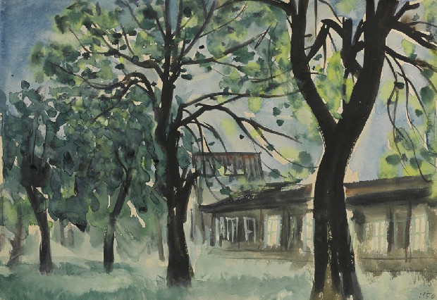 藏品:樹與屋的(1)張圖片