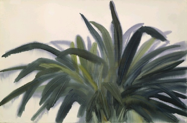 藏品:蘭草的(1)張圖片