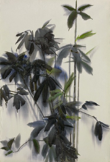 藏品:竹的(1)張圖片