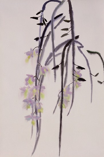 藏品:蘭花的(1)張圖片