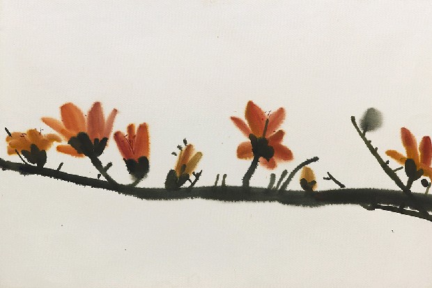 藏品:木棉花的(1)張圖片