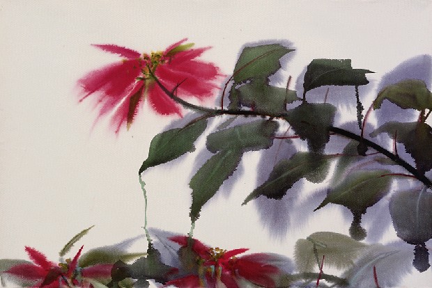 藏品:聖誕紅的(1)張圖片