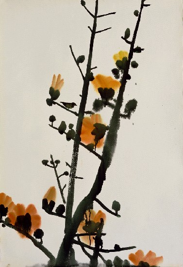 藏品:木棉花的(1)張圖片