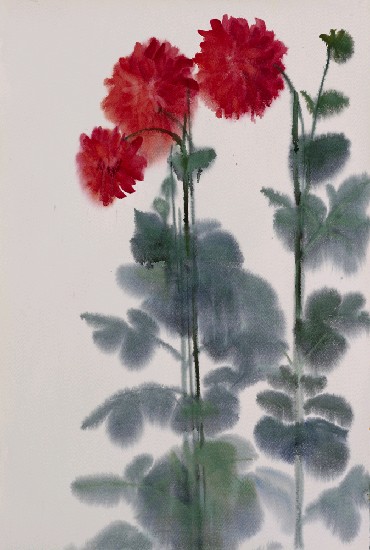 藏品:大里菊的(1)張圖片