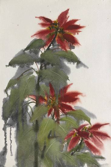 藏品:聖誕紅的(1)張圖片
