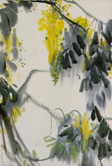 藏品:紅果樹的(1)張圖片