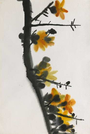 藏品:木棉花的(1)張圖片