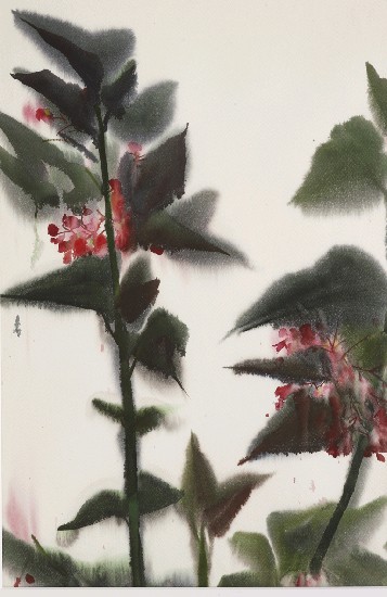 藏品:海棠花的(1)張圖片