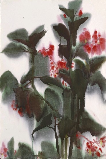 藏品:海棠花的(1)張圖片