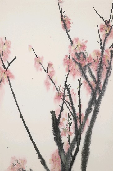 藏品:桃花的(1)張圖片