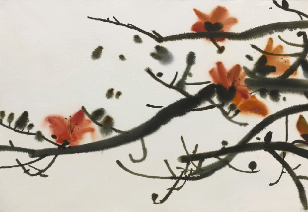 藏品:木棉花的(1)張圖片