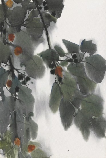 藏品:黃花的(1)張圖片