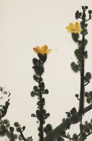 藏品:木棉花的(1)張圖片